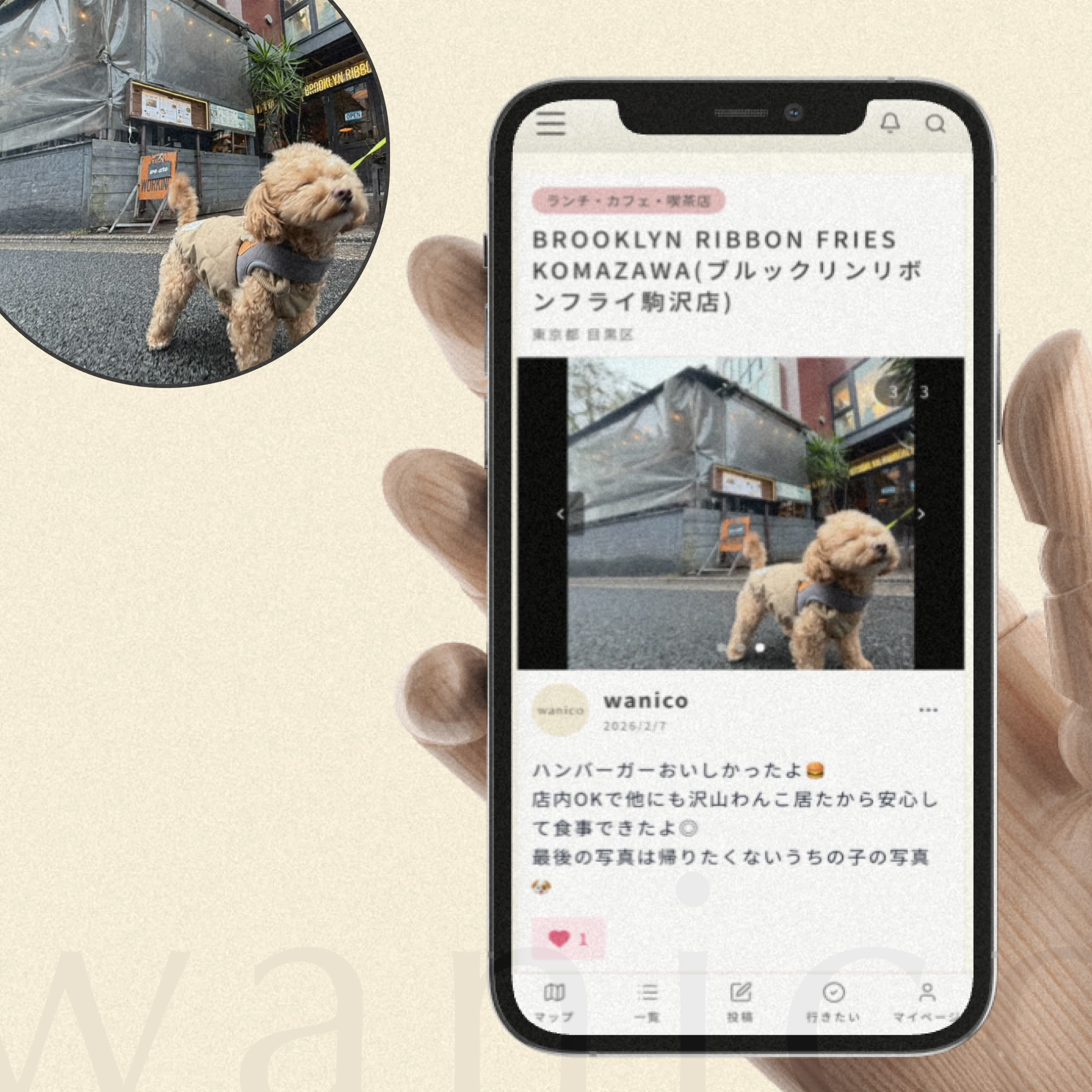 ワン活投稿でお出かけの思い出を記録する。あなたの「行ってよかった」を残す。