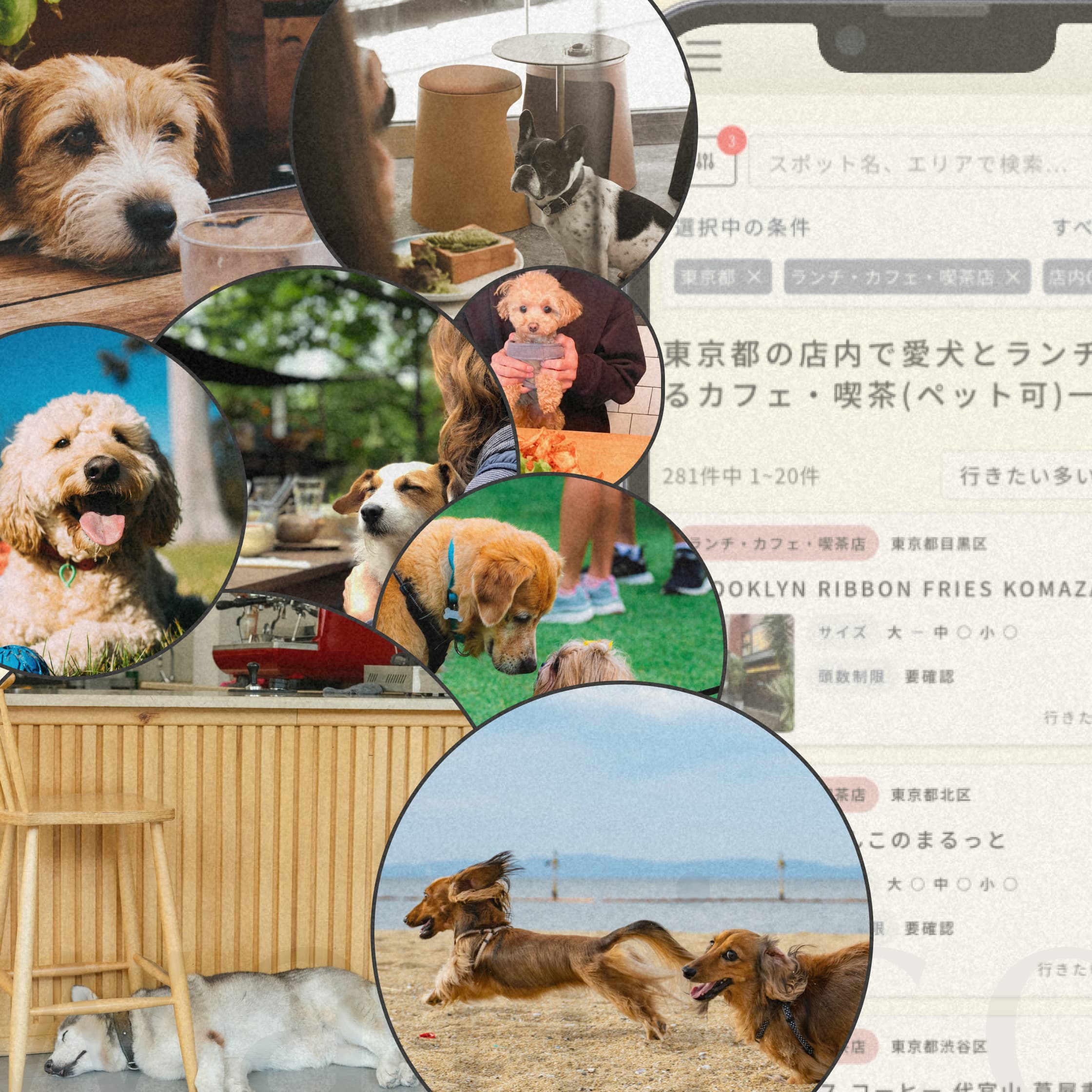 あなたの記録や施設の情報更新が、だれかの安心になる。だれかの休日も楽しくなる。