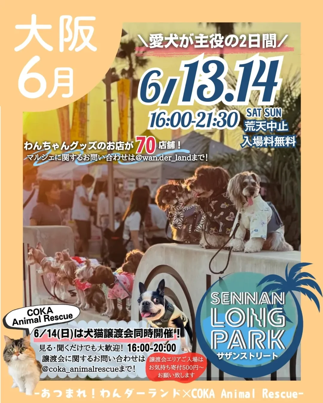 あつまれ!わんダーランド
