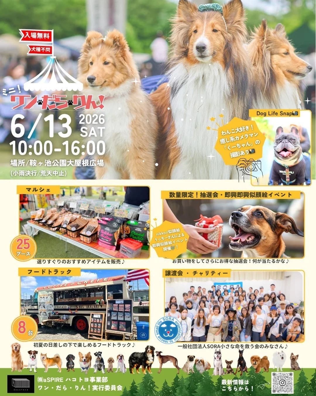 ミニ!ワン・だら・りん!