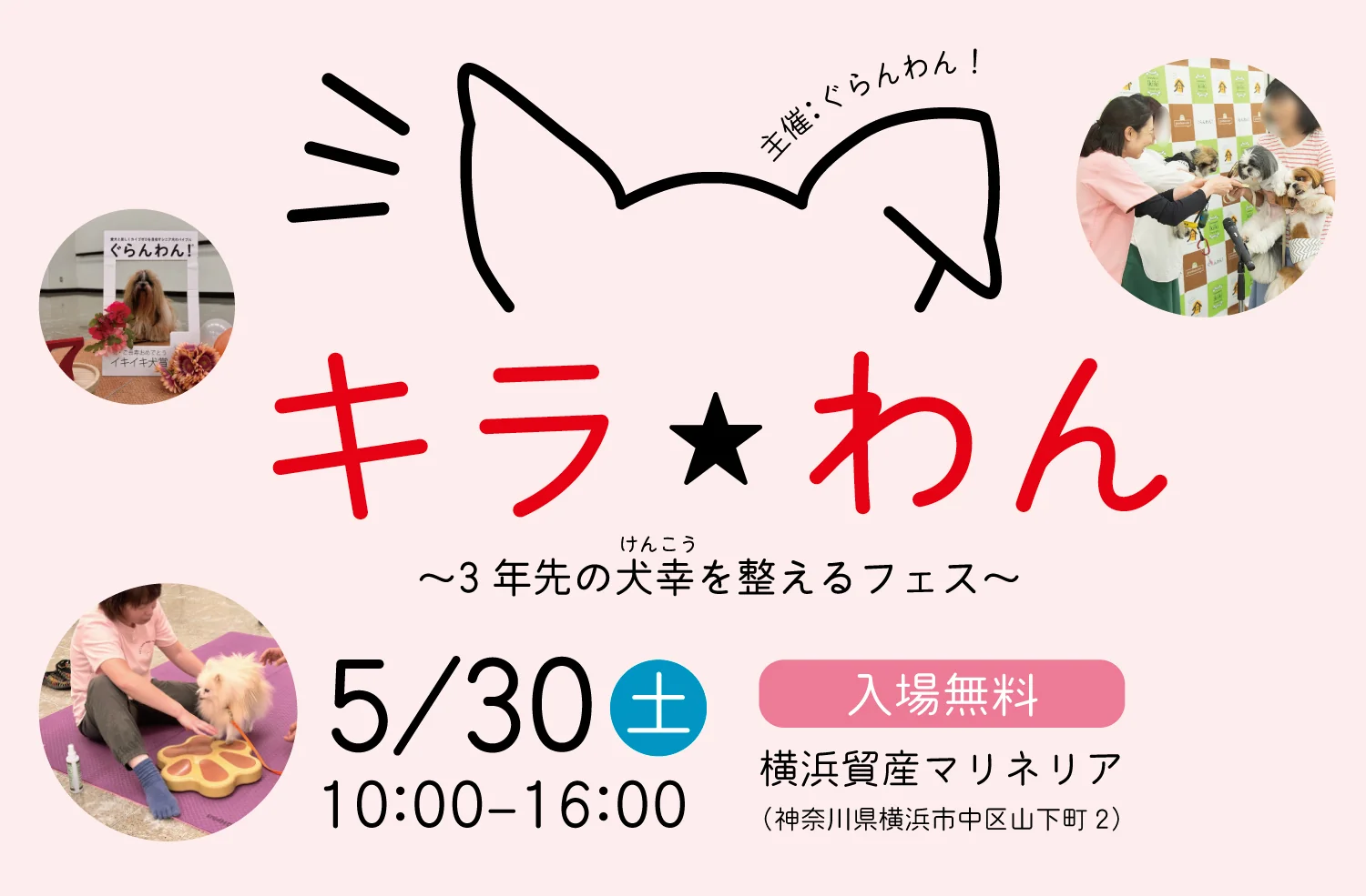 キラキラ☆わんコラボ