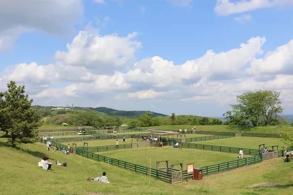 マザー牧場ドッグラン