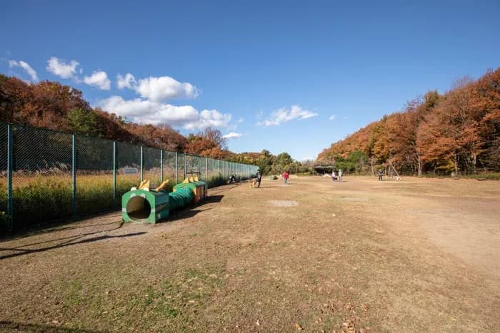 ドッグラン (森林公園内)