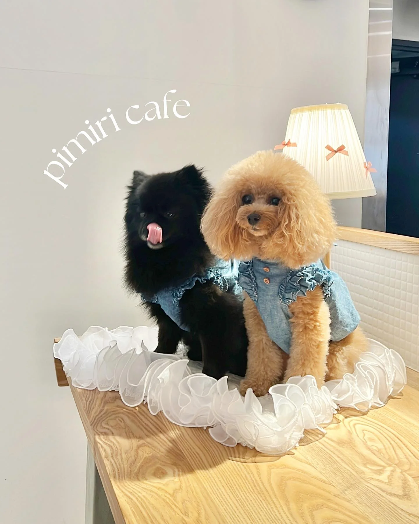 pimiri cafe