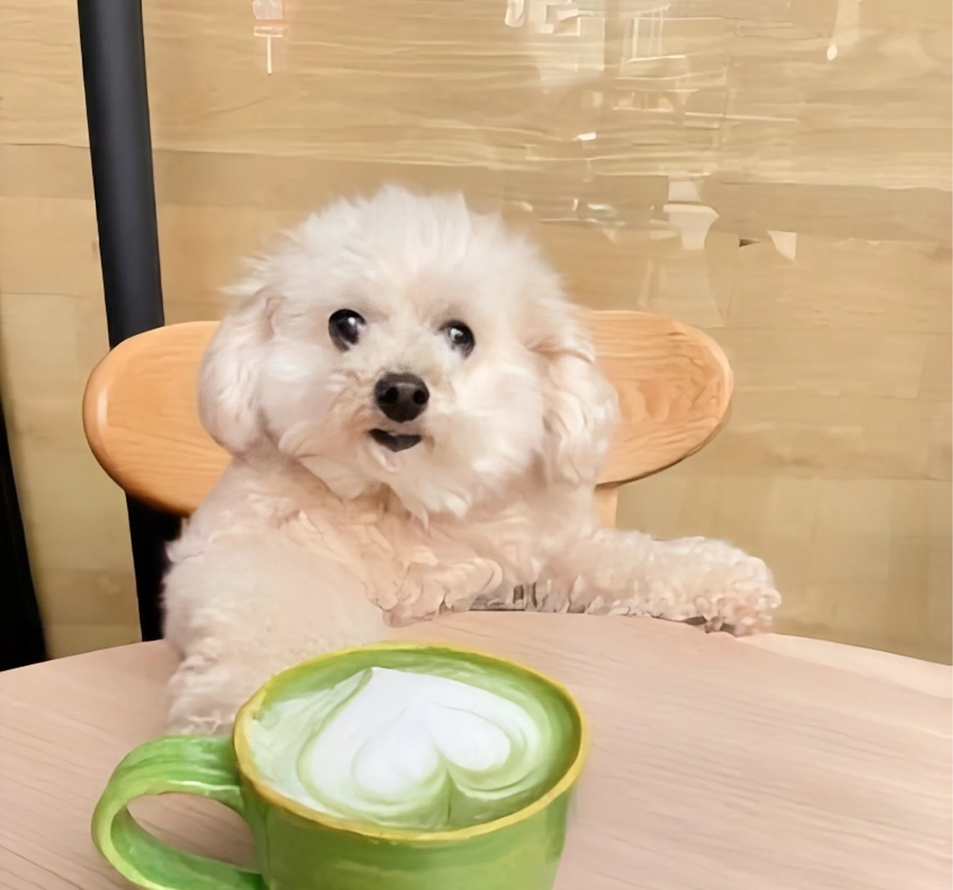 FLUX CAFE