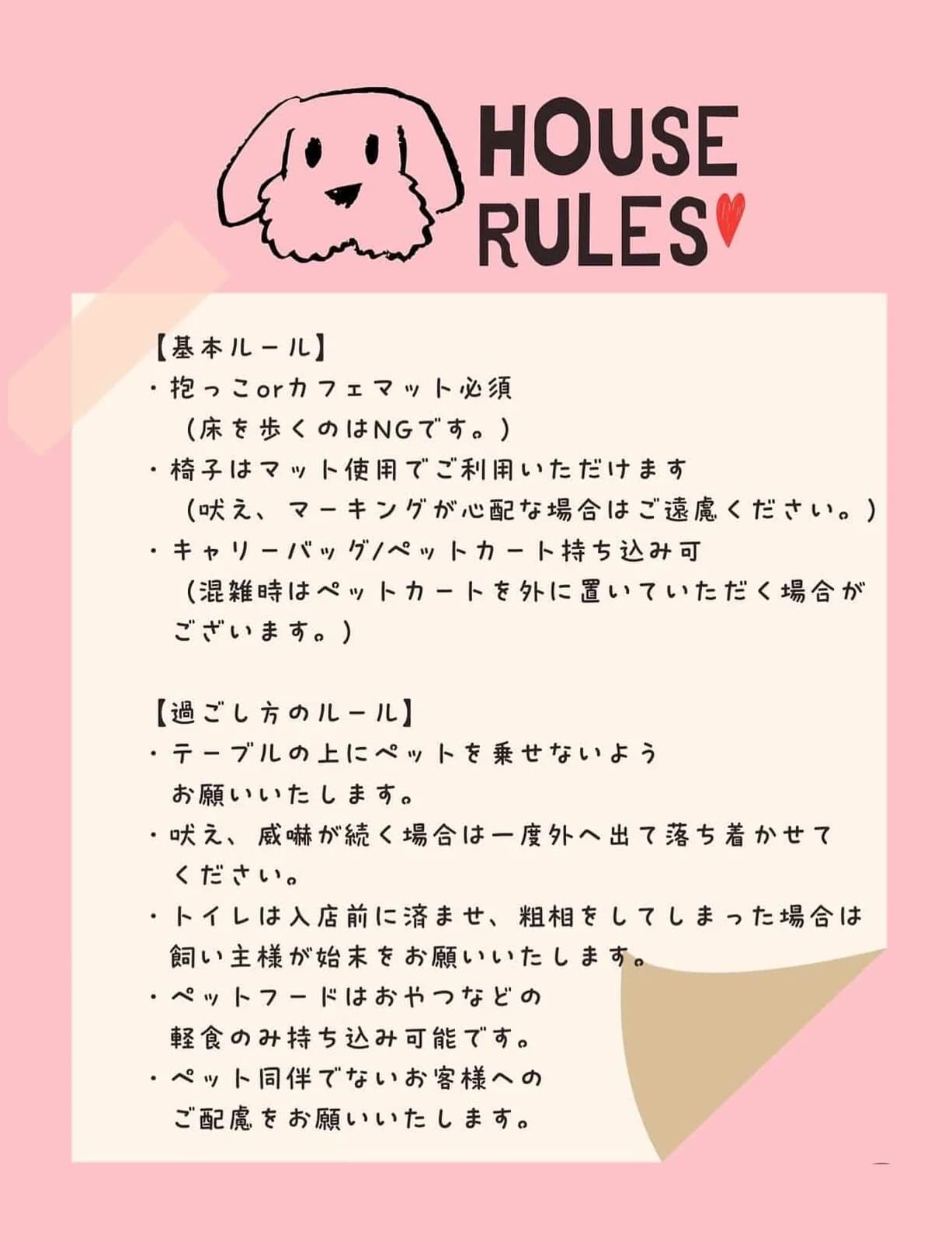 画像 5