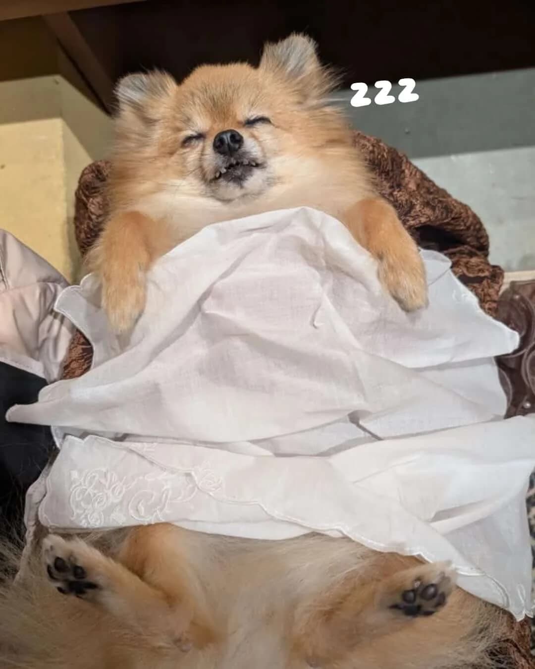 画像 5