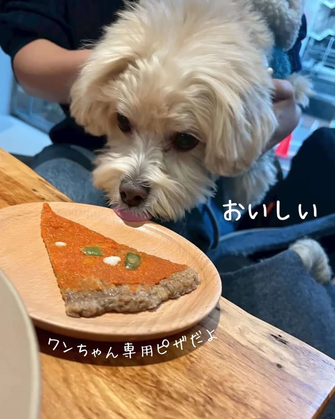 画像 1