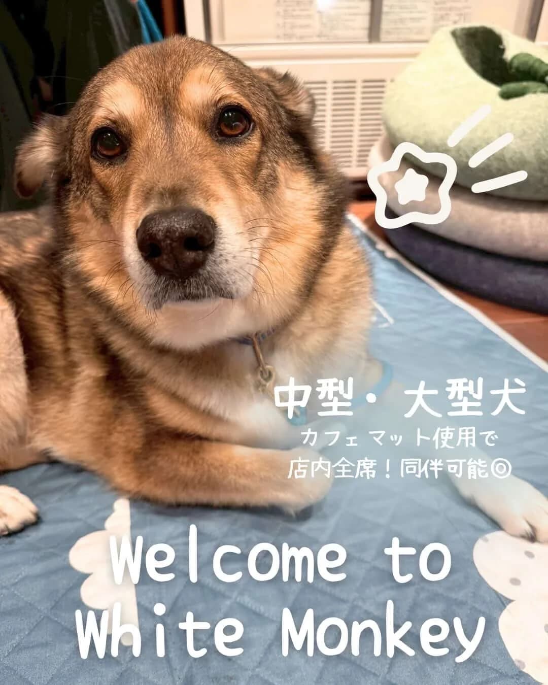 画像 3
