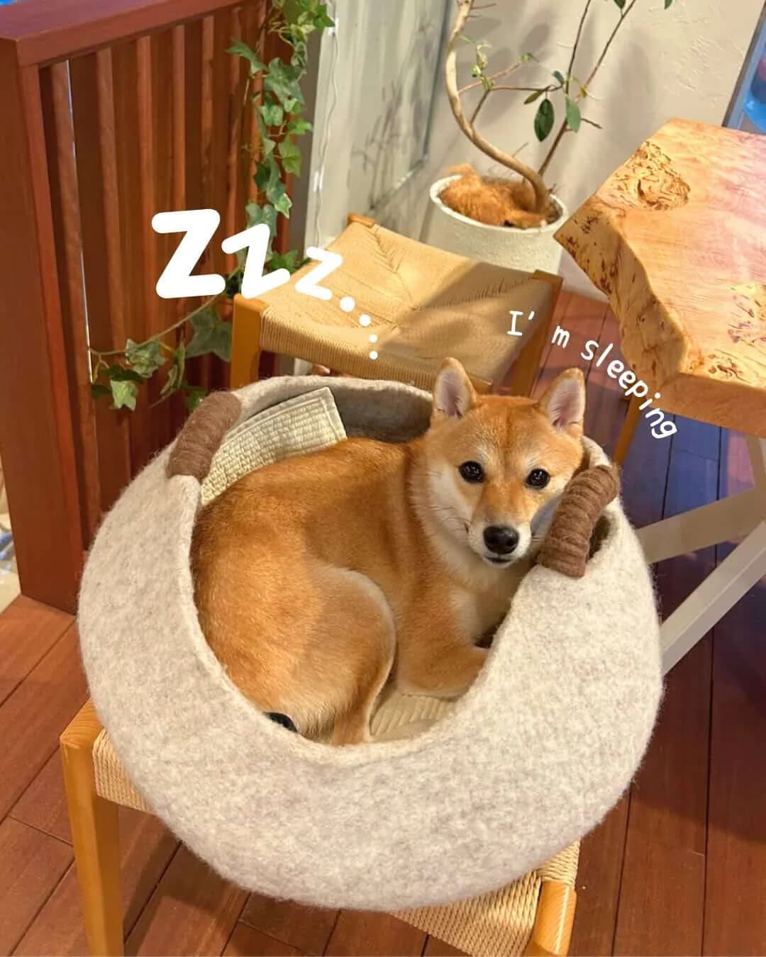 画像 4