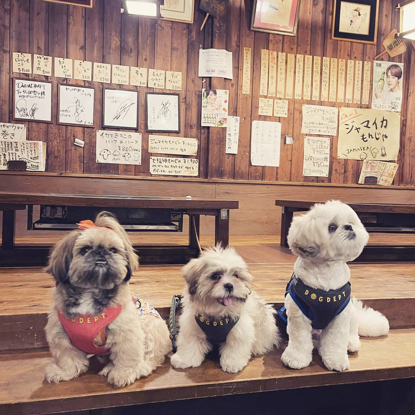 もんじゃ かっぱ祭り