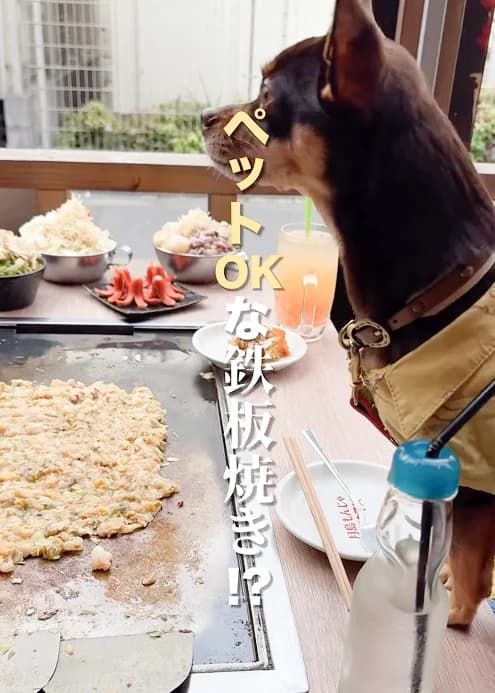 月島もんじゃ ウマウマ 三軒茶屋店