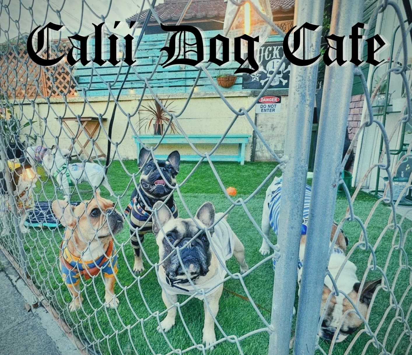 Calii Dog Cafe