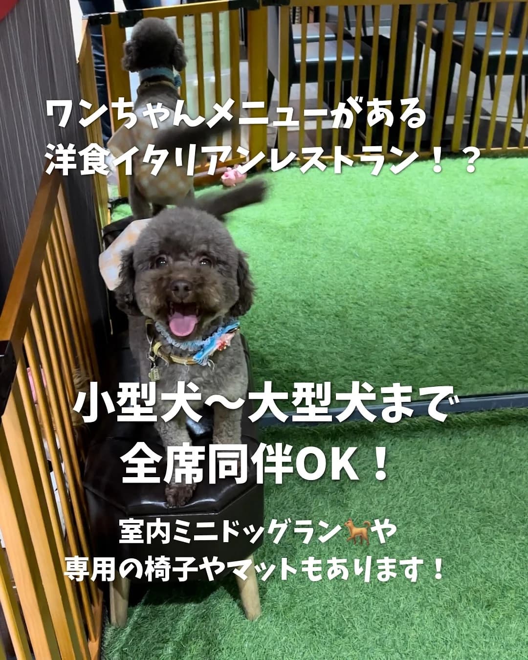 画像 2