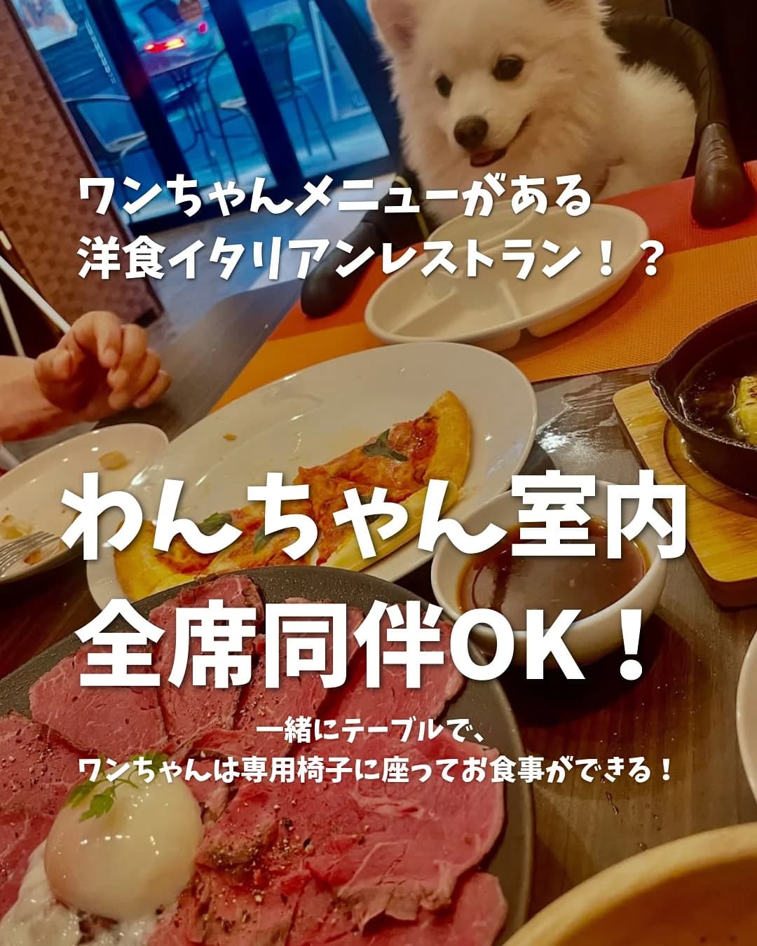 画像 1