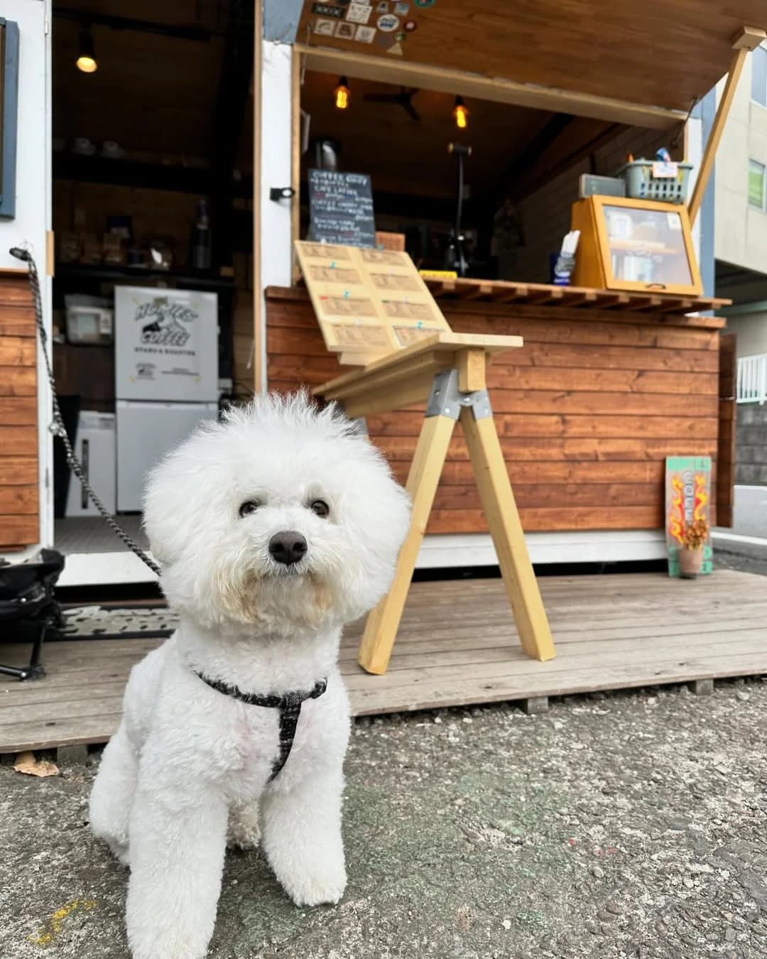 HOMIES COFFEE STAND & ROASTER【焙煎機のあるコーヒースタンド】