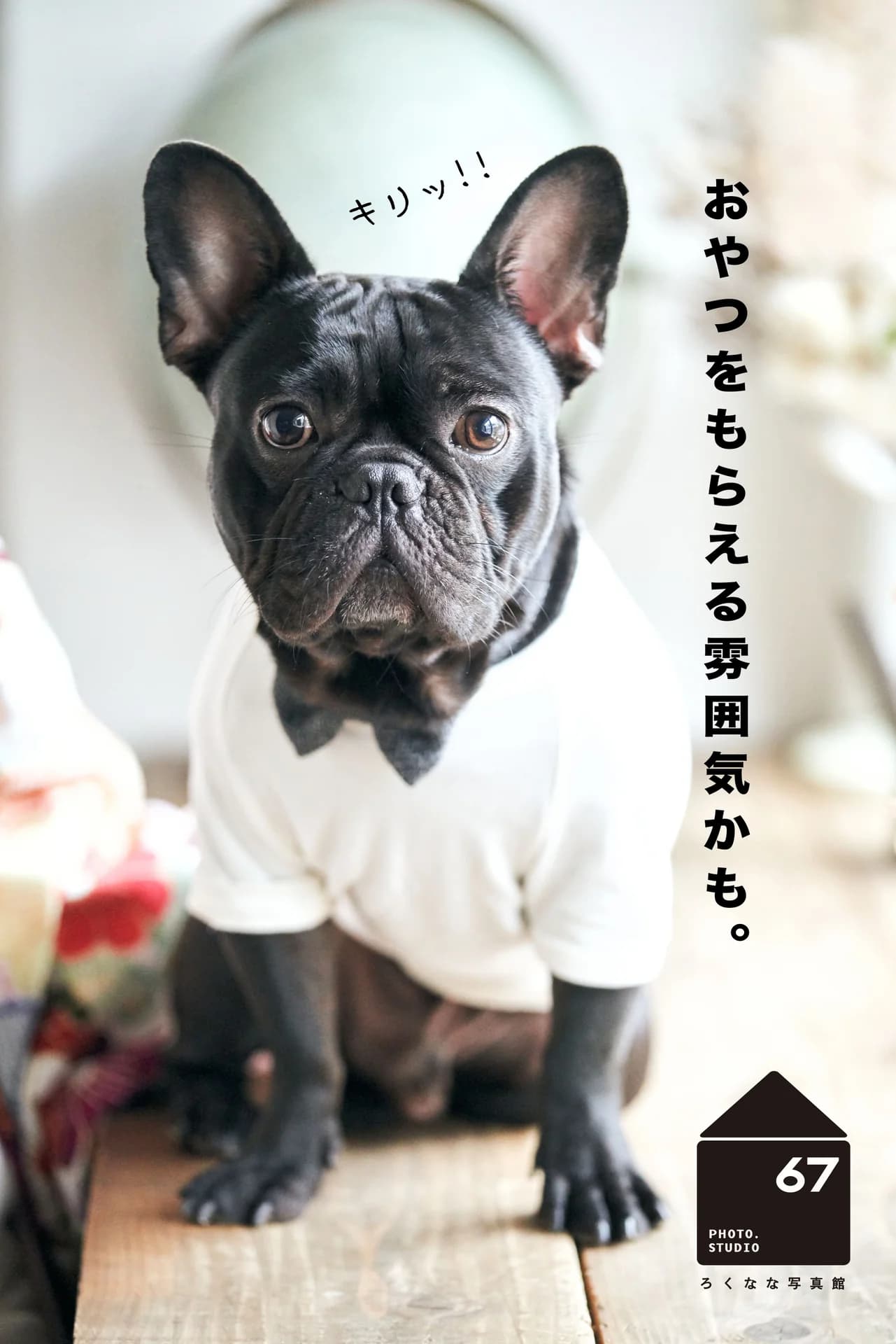 画像 1