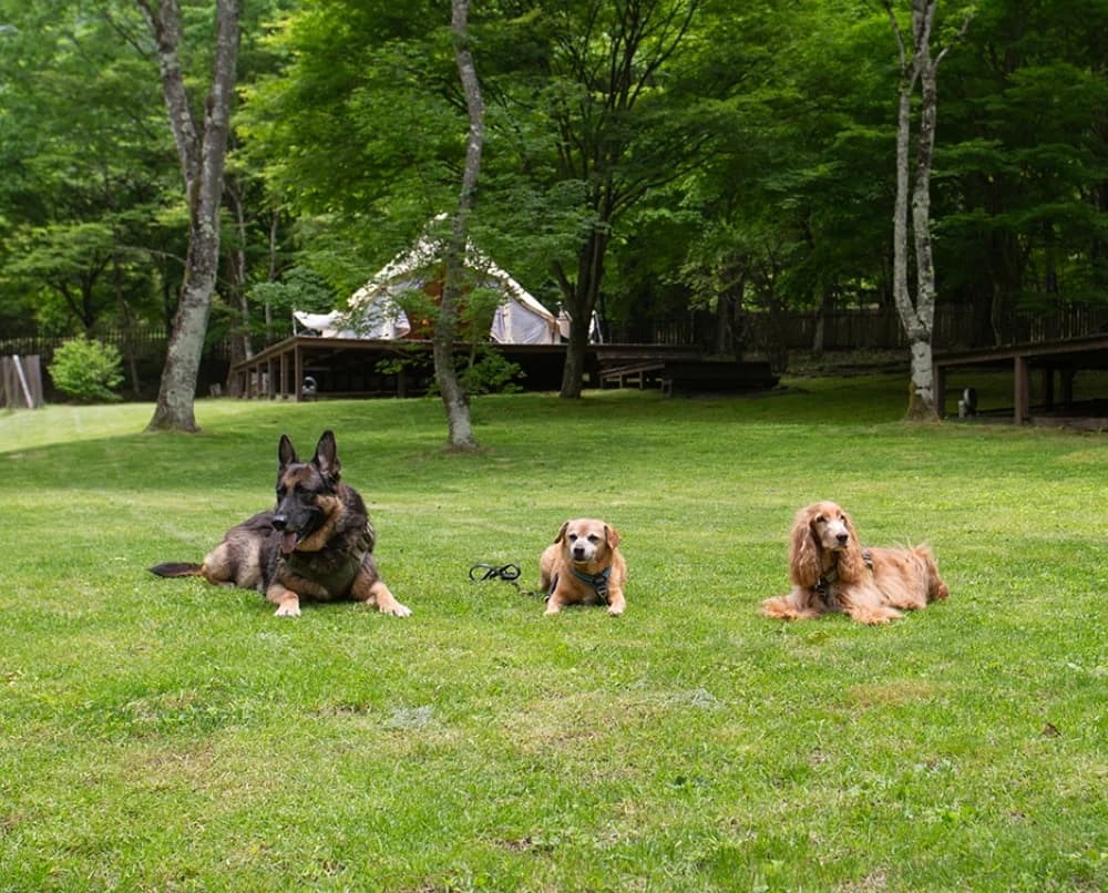 RITA'S RANCH 南軽井沢