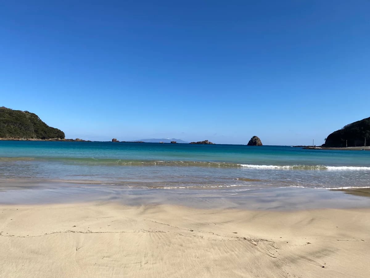 ペットと泊まる伊豆下田温泉宿晴レ屋